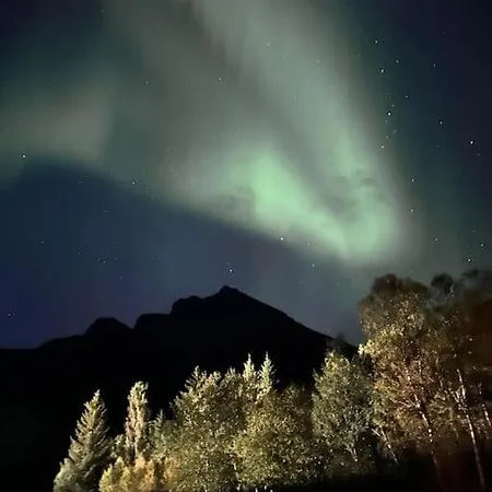 Feriehus Kosebua Narvik